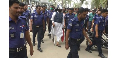 ধর্ষণ মামলায় মামুনুল হকের জামিন